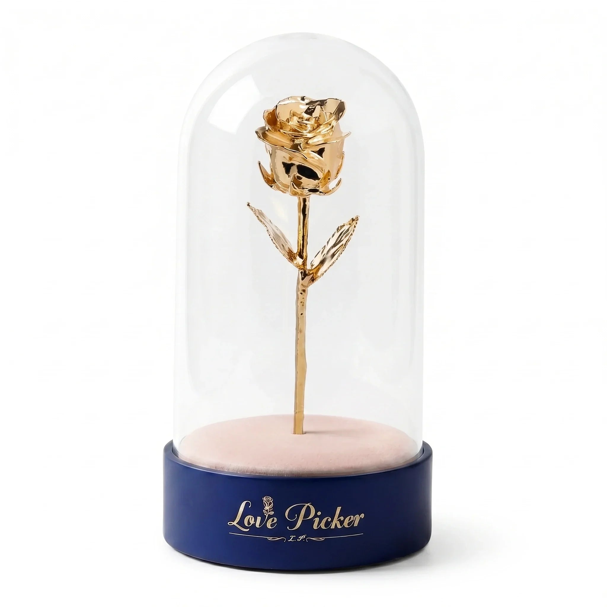 golden rose in dome box
