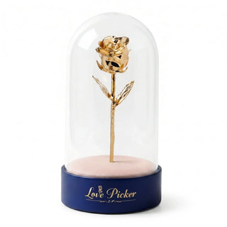 golden rose in dome box