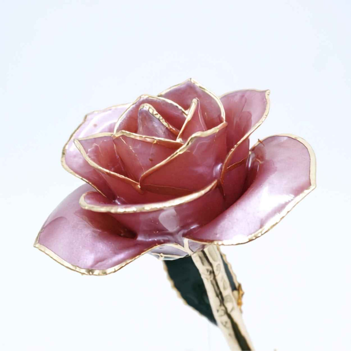 Lavender mauve pearlized open bloom rose with 24K gold accents, studio view
