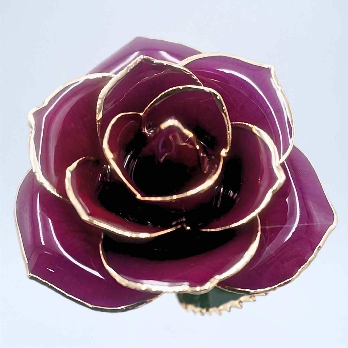 Dark purple open bloom preserved rose with 24K gold accents, close-up bloom view