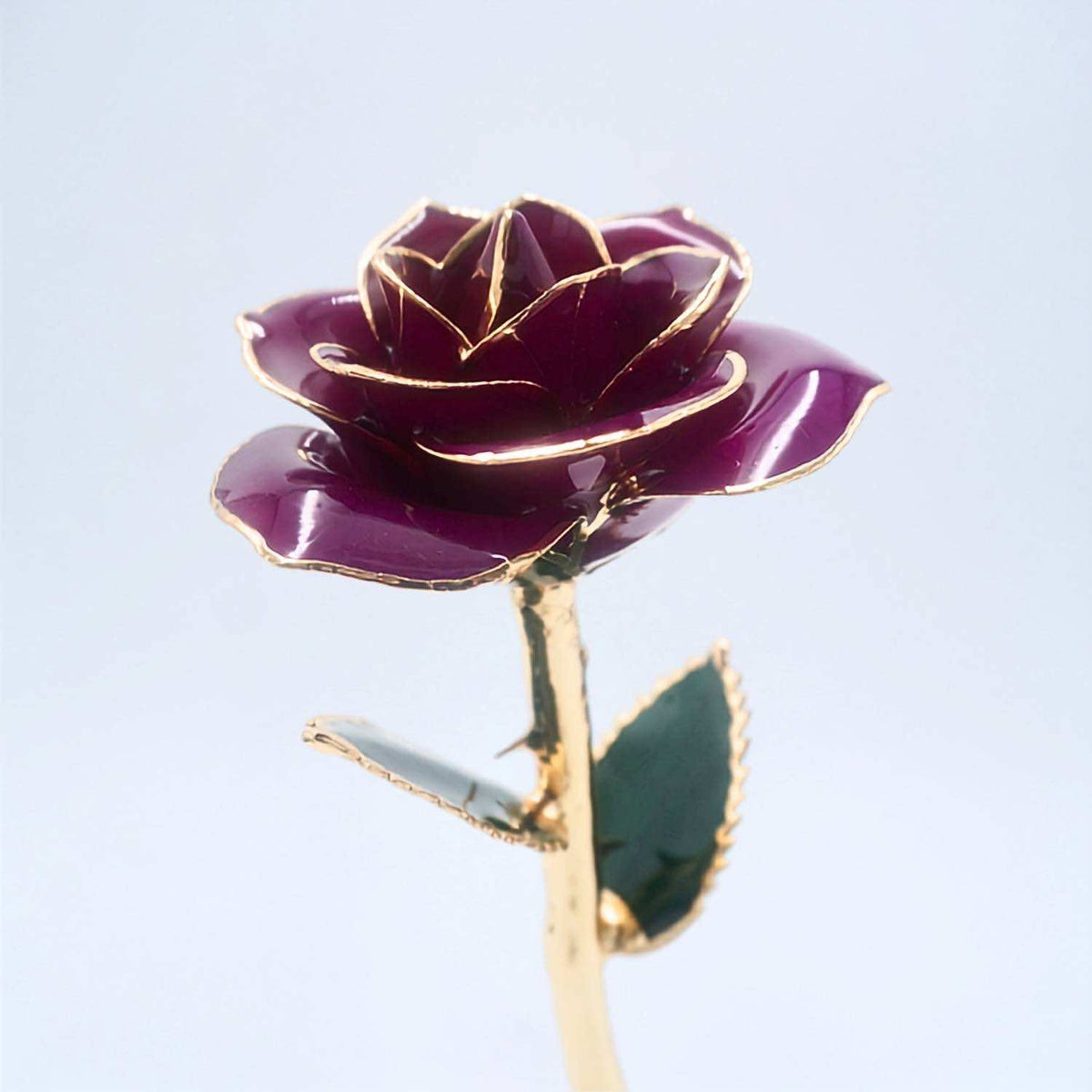 Dark purple open bloom preserved rose with 24K gold accents, angled half-length view