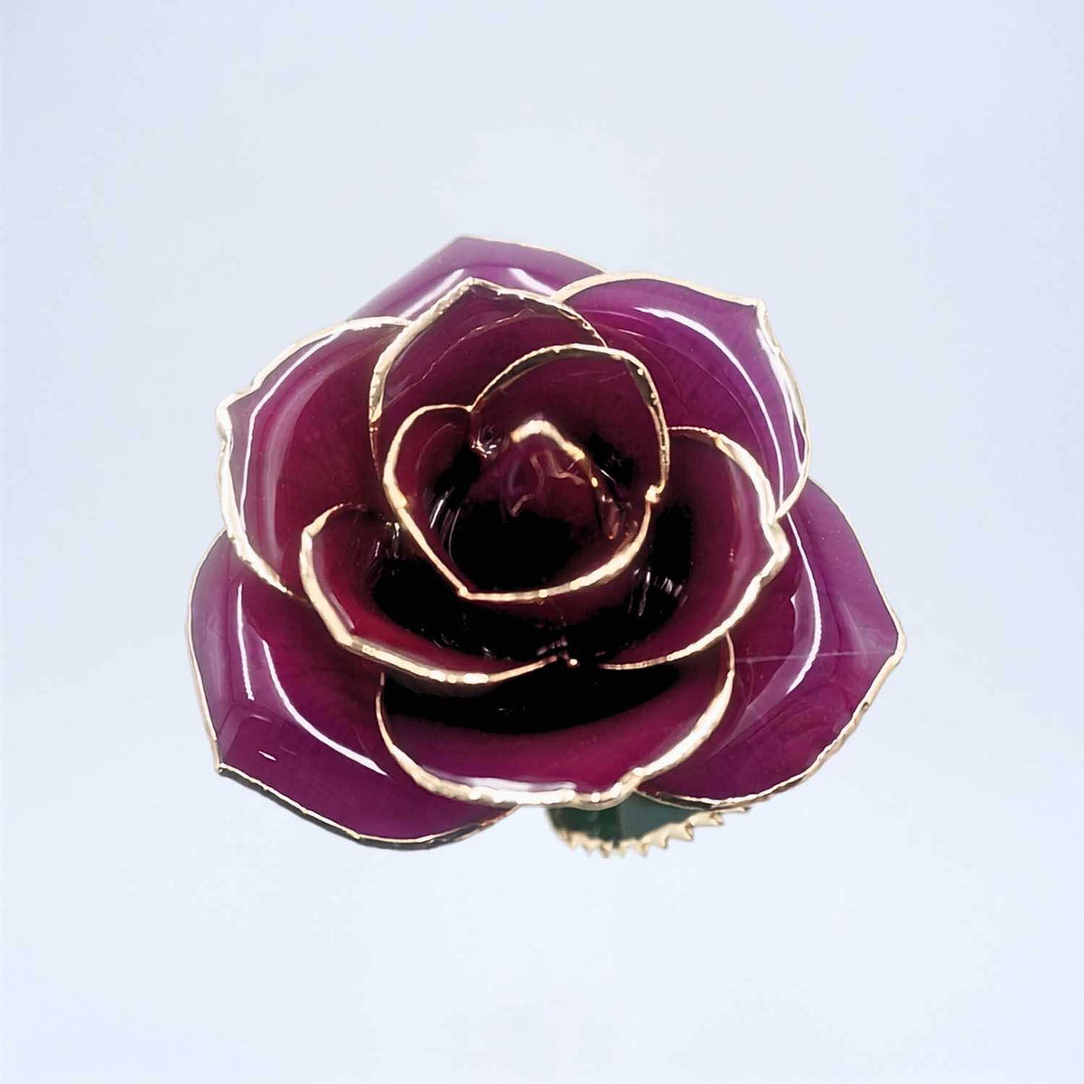 Dark purple open bloom preserved rose with 24K gold accents, close-up bloom view