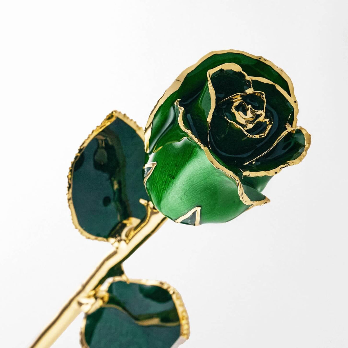 Emerald green 11.5-inch closed bud preserved rose with 24K gold accents, studio view