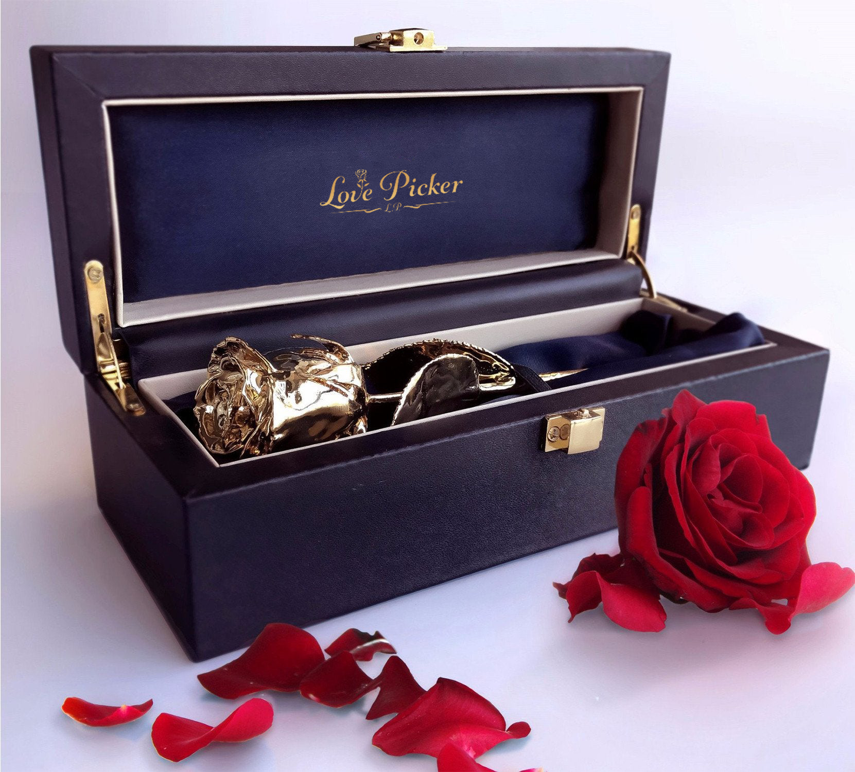 24K Gold Dipped Natural Rose 7" - Midnight Blue Gift Box