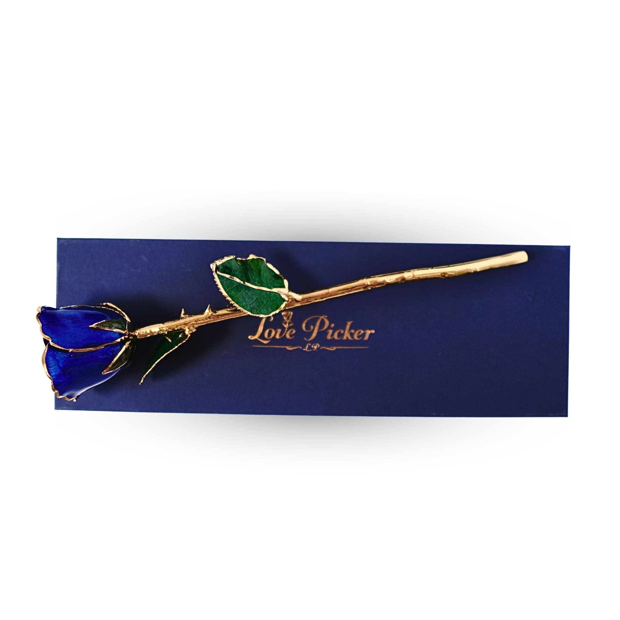 Gold Dipped Rose 11.5" - Royal Navy Blue Box