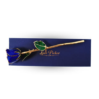 Gold Dipped Rose 11.5" - Royal Navy Blue Box