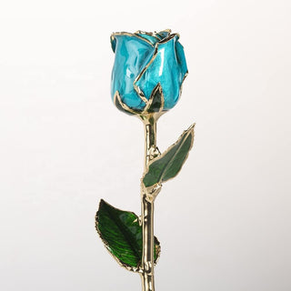 Midnight blue 11.5-inch closed bud preserved rose with 24K gold accents, studio view