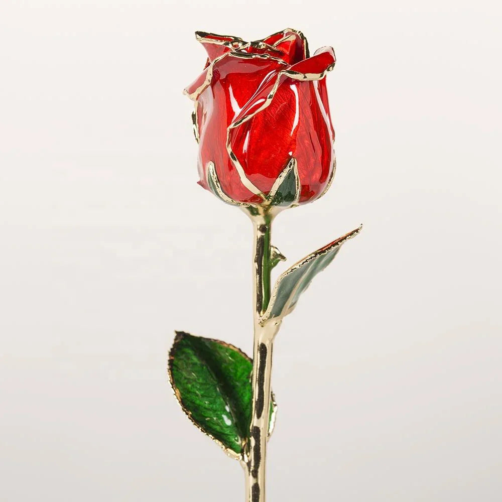 Crimson red 11.5-inch closed bud preserved rose with 24K gold accents, studio view