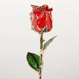 Crimson red 11.5-inch closed bud preserved rose with 24K gold accents, studio view