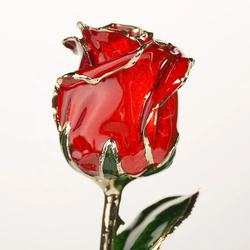 Crimson red 11.5-inch closed bud preserved rose with 24K gold accents, side view