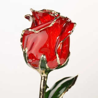 Crimson red 11.5-inch closed bud preserved rose with 24K gold accents, side view