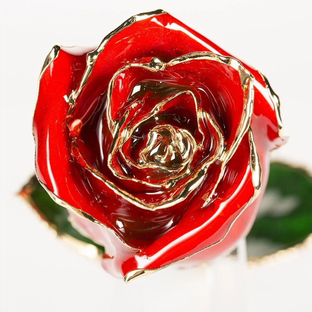 Crimson red 11.5-inch closed bud preserved rose with 24K gold accents, close-up bloom view