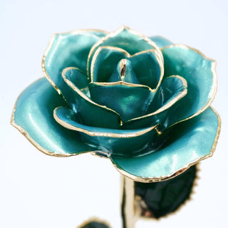 Powder blue pearlized open bloom rose with 24K gold accents, close-up bloom view