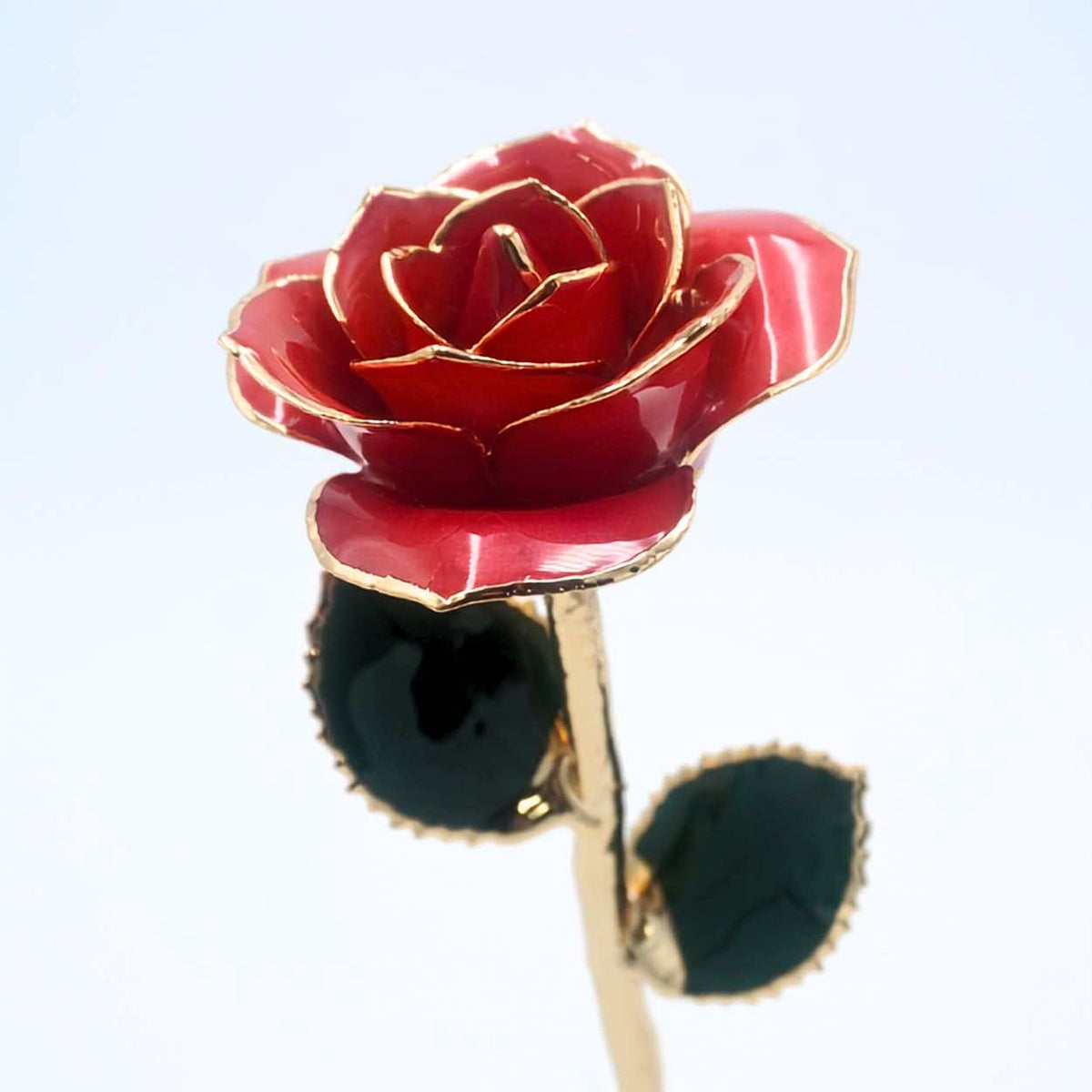 Blush pink pearlized open bloom rose with 24K gold accents, close-up view