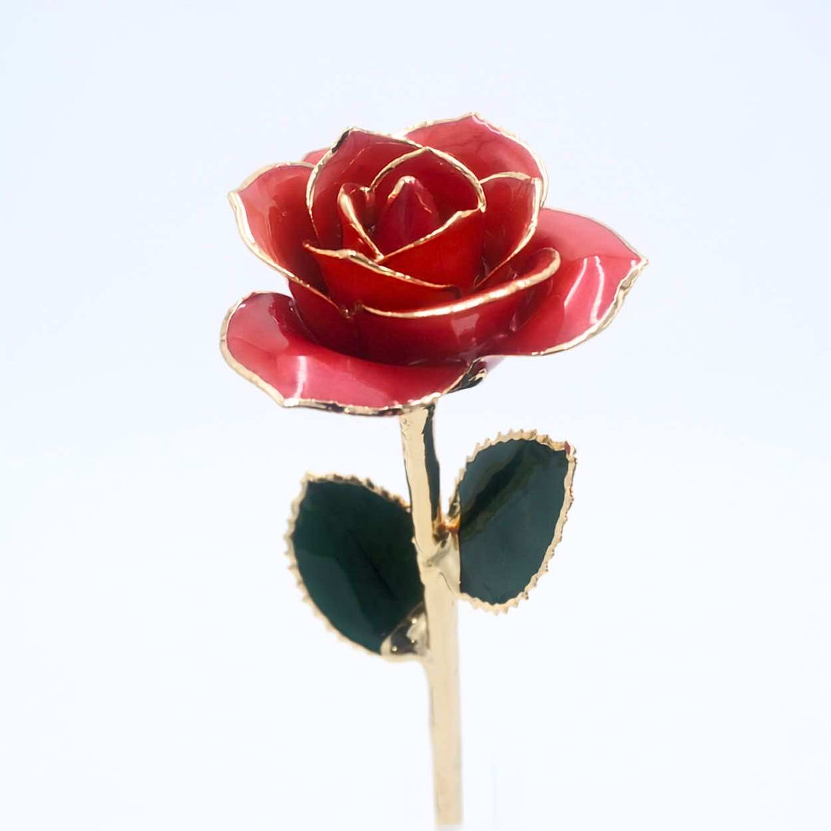 Blush pink pearlized open bloom rose with 24K gold accents, half-length view