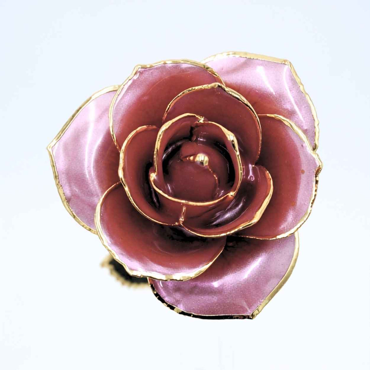 Lavender mauve pearlized open bloom rose with 24K gold accents, close-up bloom view