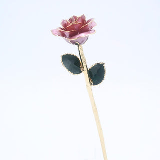 Lavender mauve pearlized open bloom rose with 24K gold accents, studio view