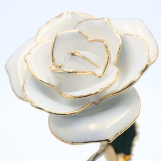White pearlized open bloom rose with 24K gold accents, close-up bloom view