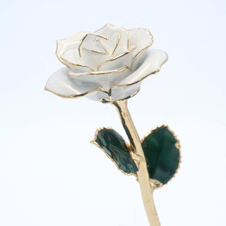 White pearlized open bloom rose with 24K gold accents, angled half-length view