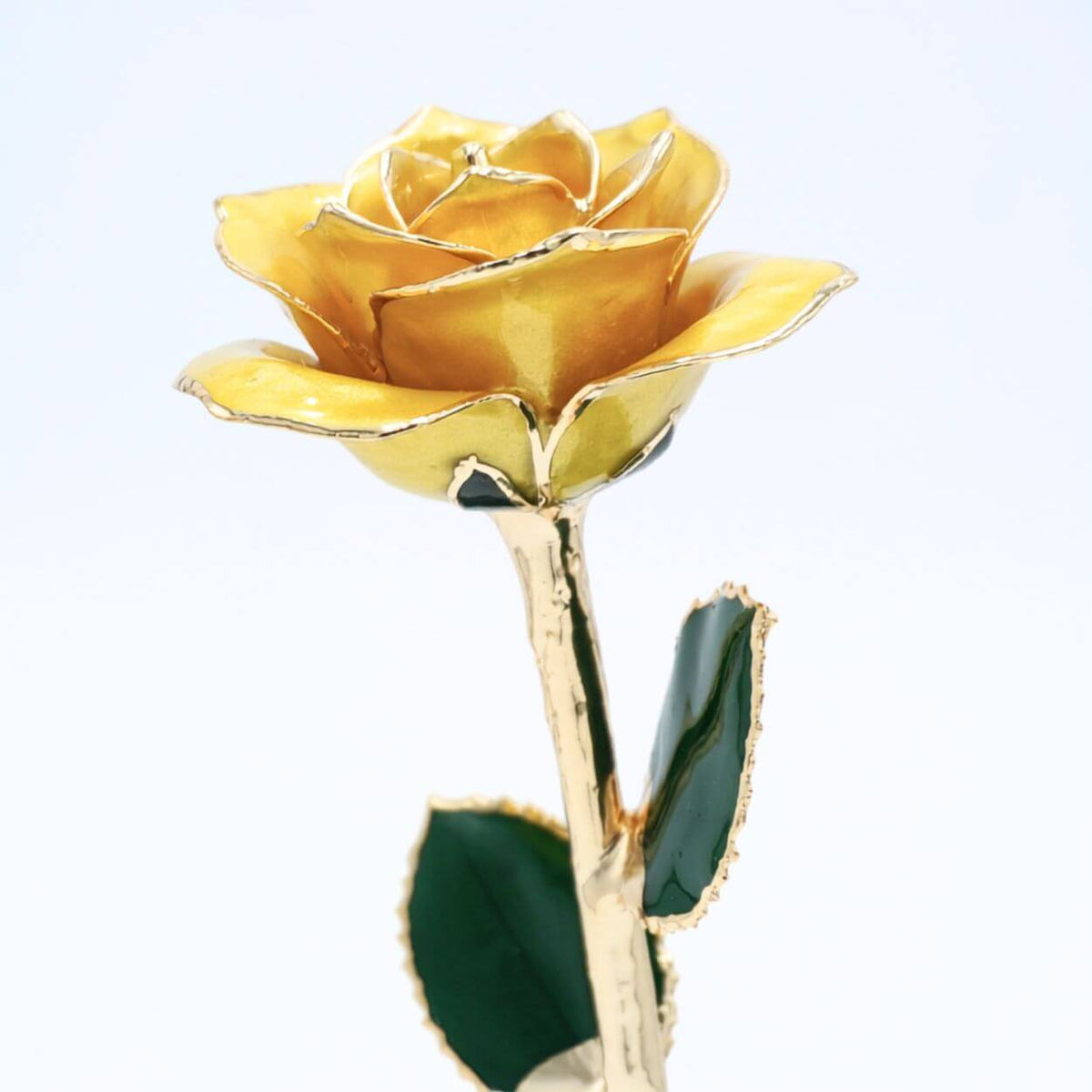 Golden yellow pearlized open bloom rose with 24K gold accents, close side view