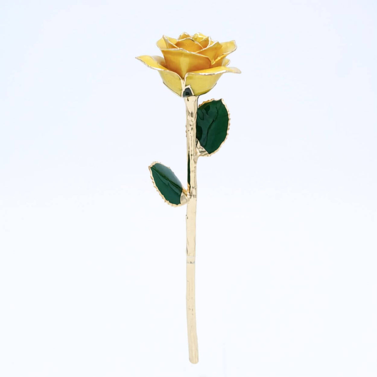 Golden yellow pearlized open bloom rose with 24K gold accents, full-length view