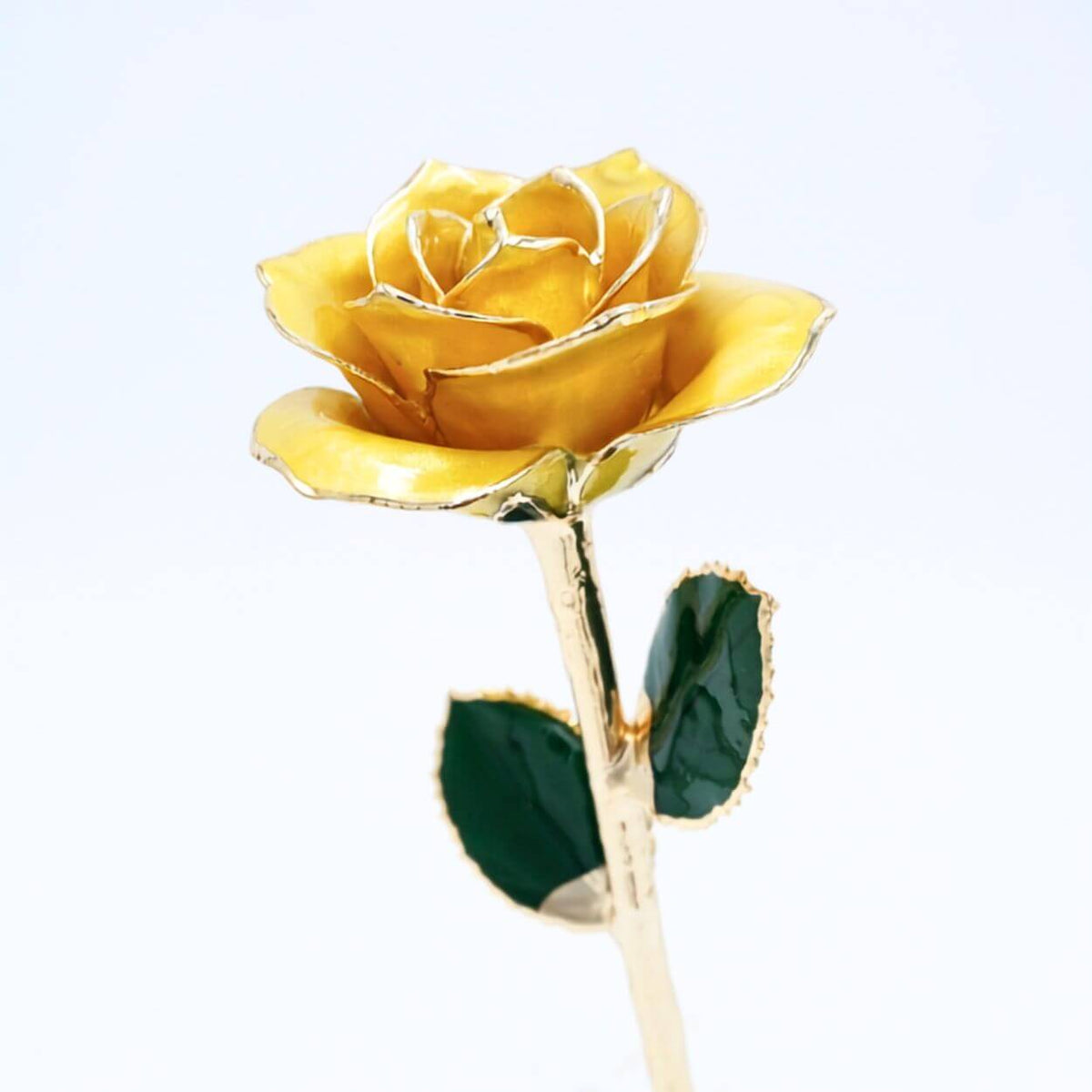 Golden yellow pearlized open bloom rose with 24K gold accents, angled half-length view