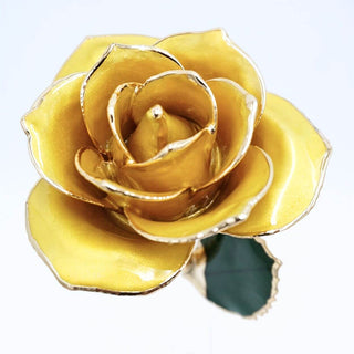 Golden yellow pearlized open bloom rose with 24K gold accents, close-up bloom view