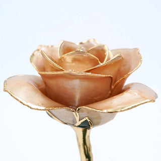 Champagne pearlized open bloom rose with 24K gold accents, side view