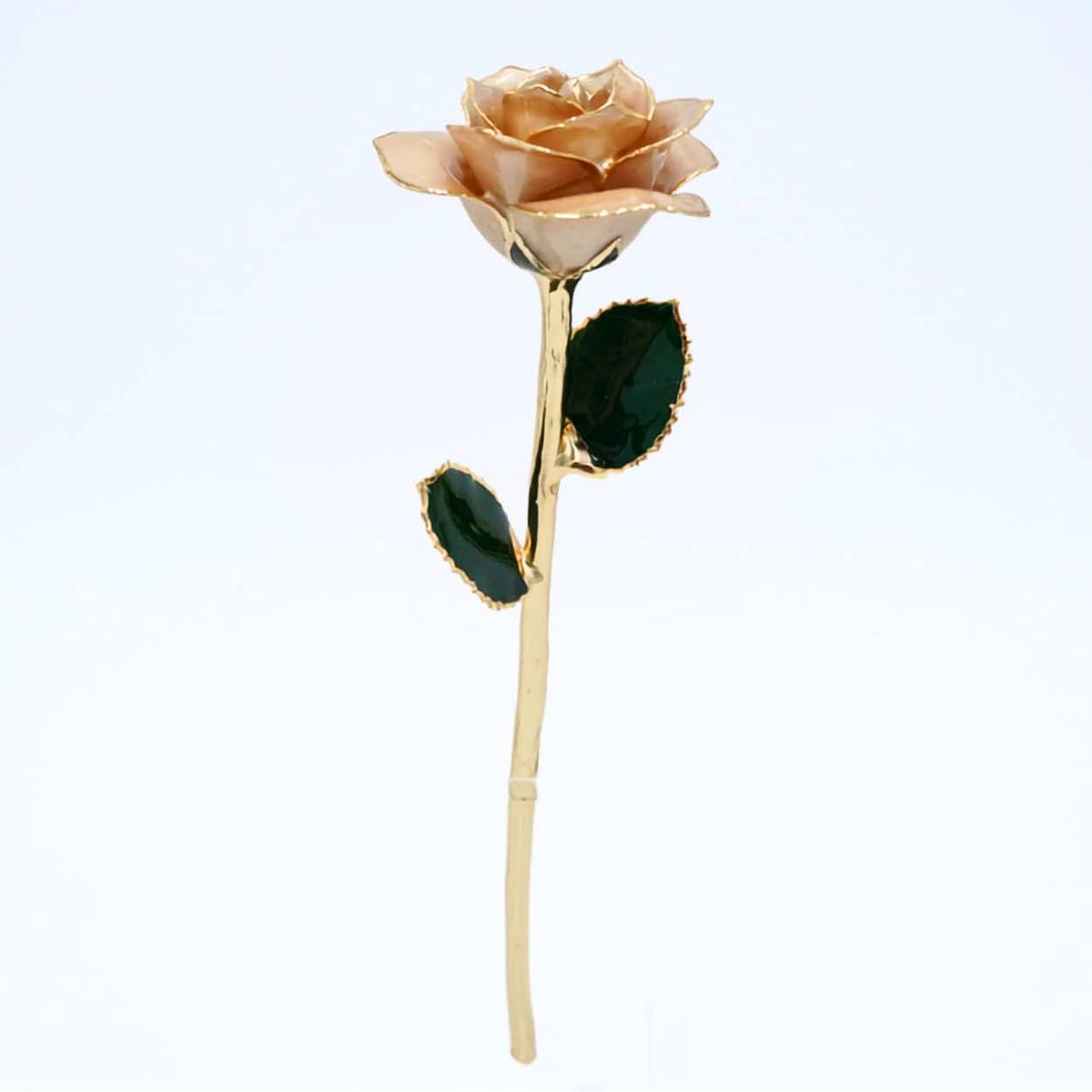 Champagne pearlized open bloom rose with 24K gold accents, full-length view