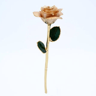 Champagne pearlized open bloom rose with 24K gold accents, full-length view