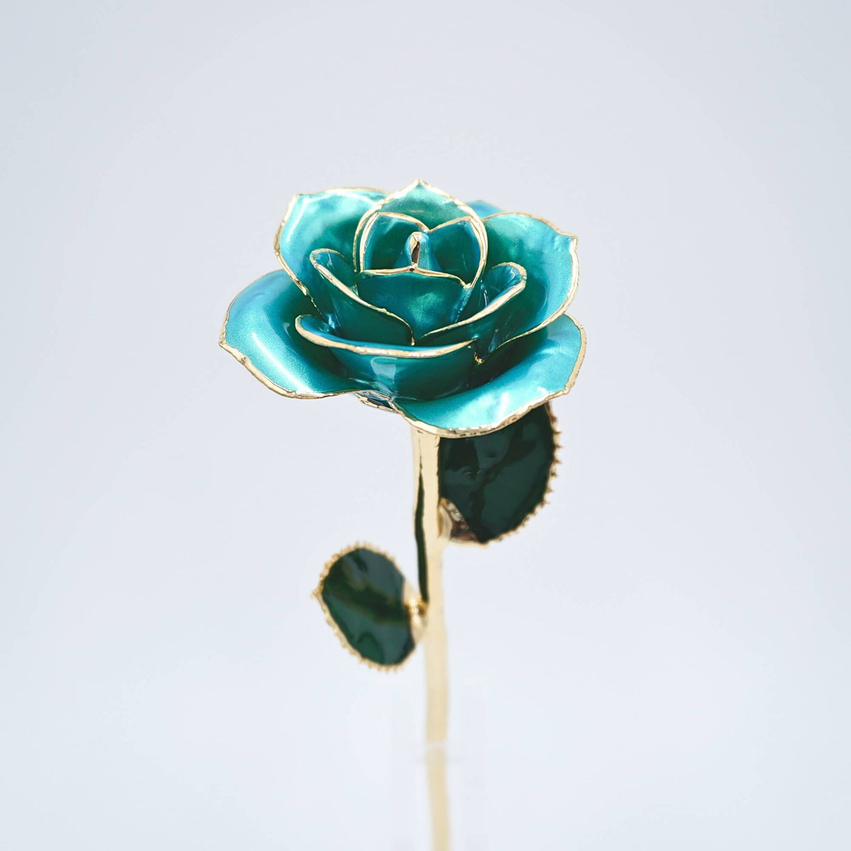 Powder blue pearlized open bloom rose with 24K gold accents, close-up bloom view