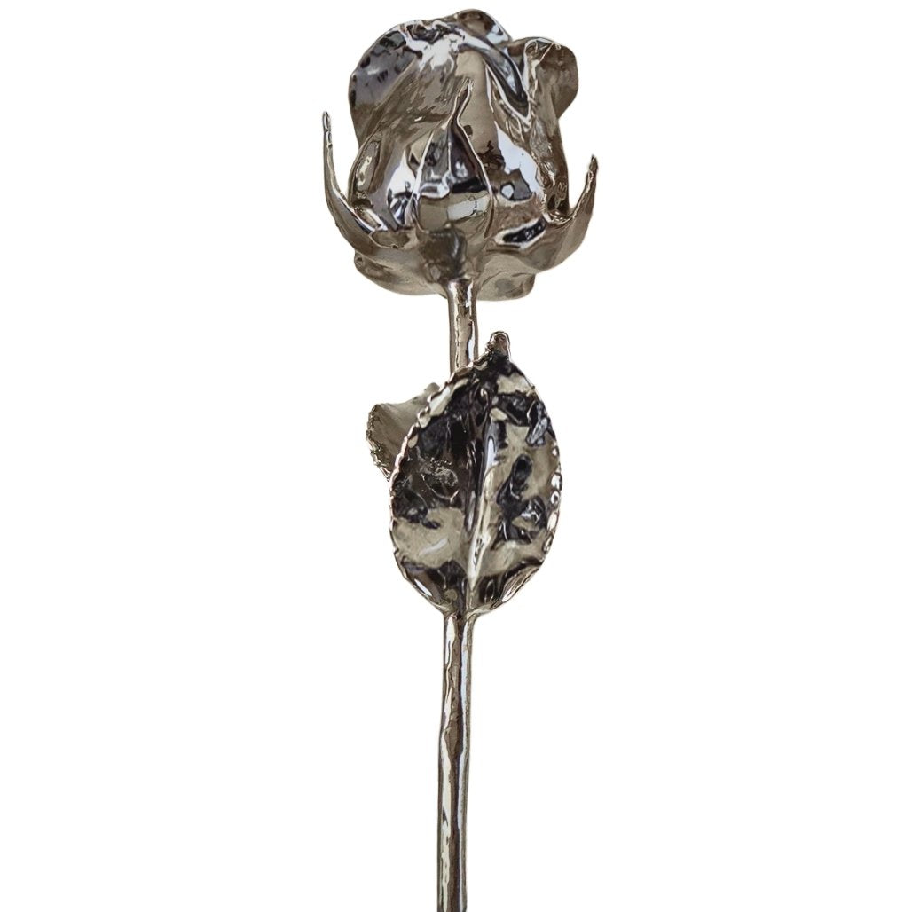 Decorative silver rose on a white background
