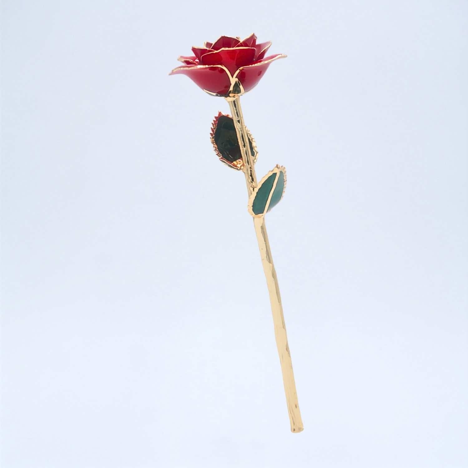Red 24K Gold Dipped Rose | Valentine's Gift for Her, For Love - Forever