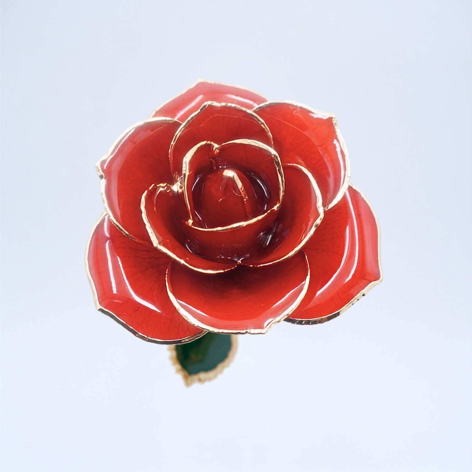 Red 24K Gold Dipped Rose | Valentine's Gift for Her, For Love - Forever