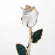 White 24K gold dipped rose with gold-trimmed leaves, perfect for romantic gestures or anniversaries