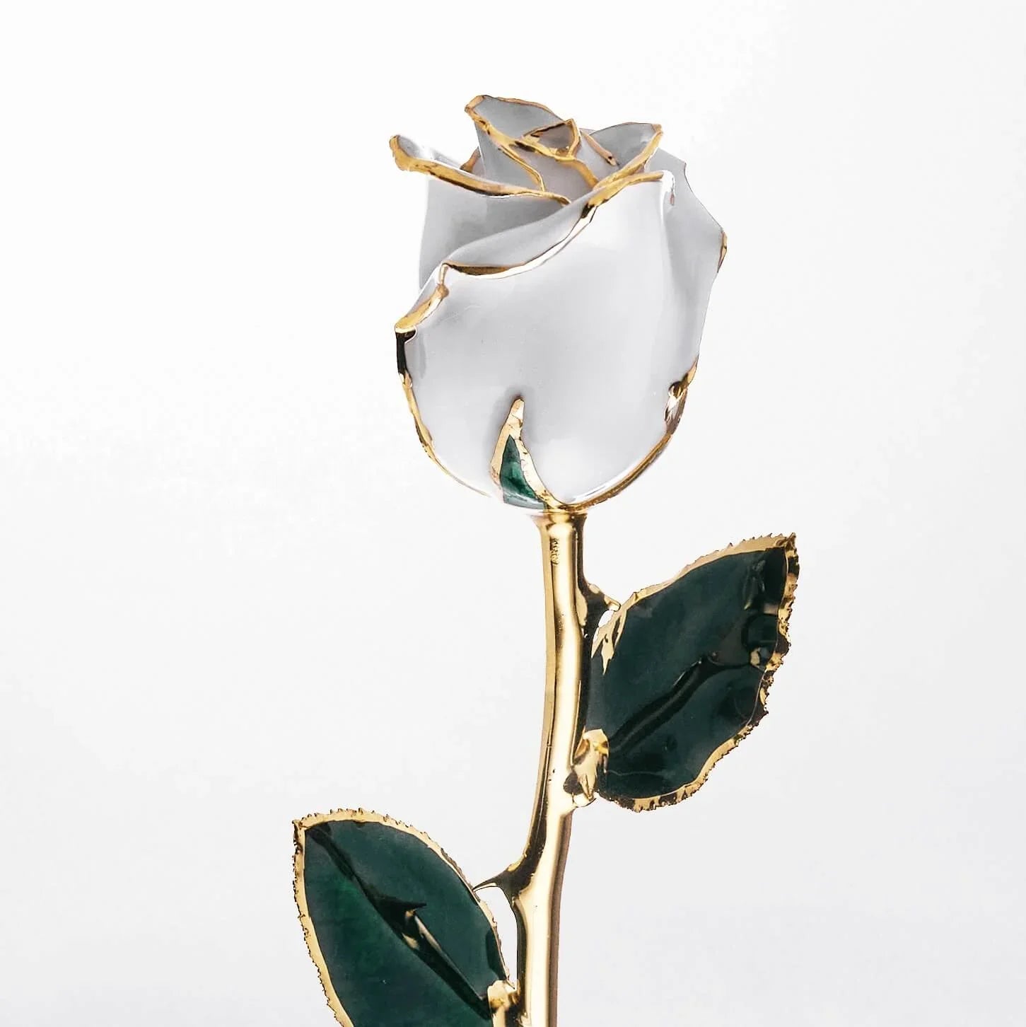 White 24K gold dipped rose with gold-trimmed leaves, perfect for romantic gestures or anniversaries