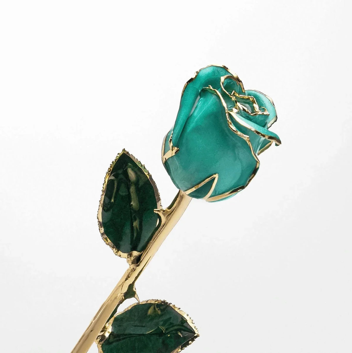 Tiffany teal 11.5-inch closed bud preserved rose with 24K gold accents, bloom close-up