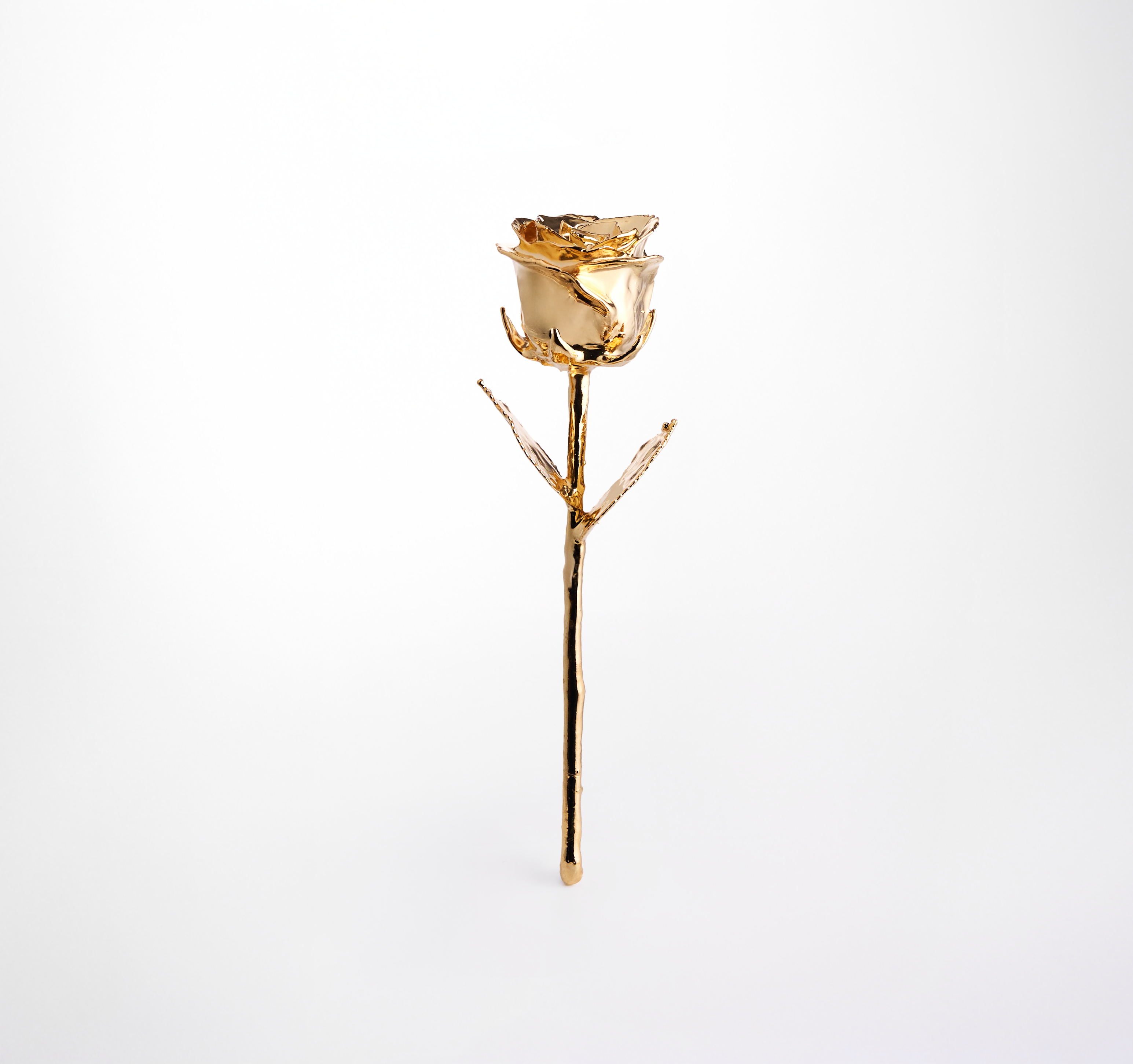 24K गोल्ड डिप्ड नेचुरल रोज 11.5" - अंबर कलर गिफ्ट बॉक्स