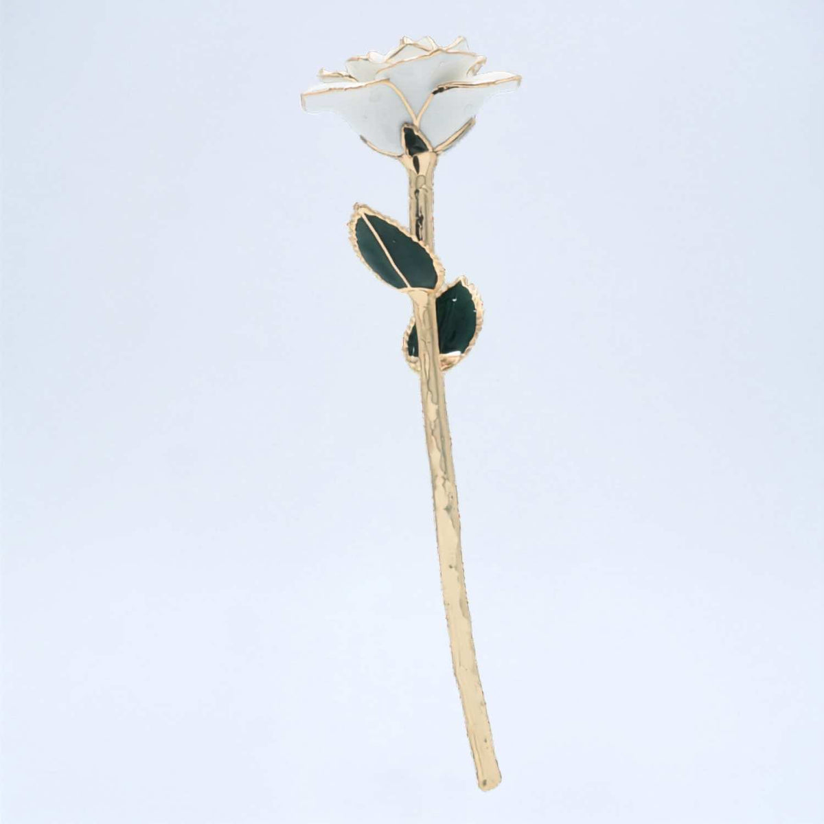 White open bloom preserved rose with 24K gold accents, full front view