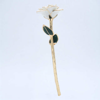 White open bloom preserved rose with 24K gold accents, full front view