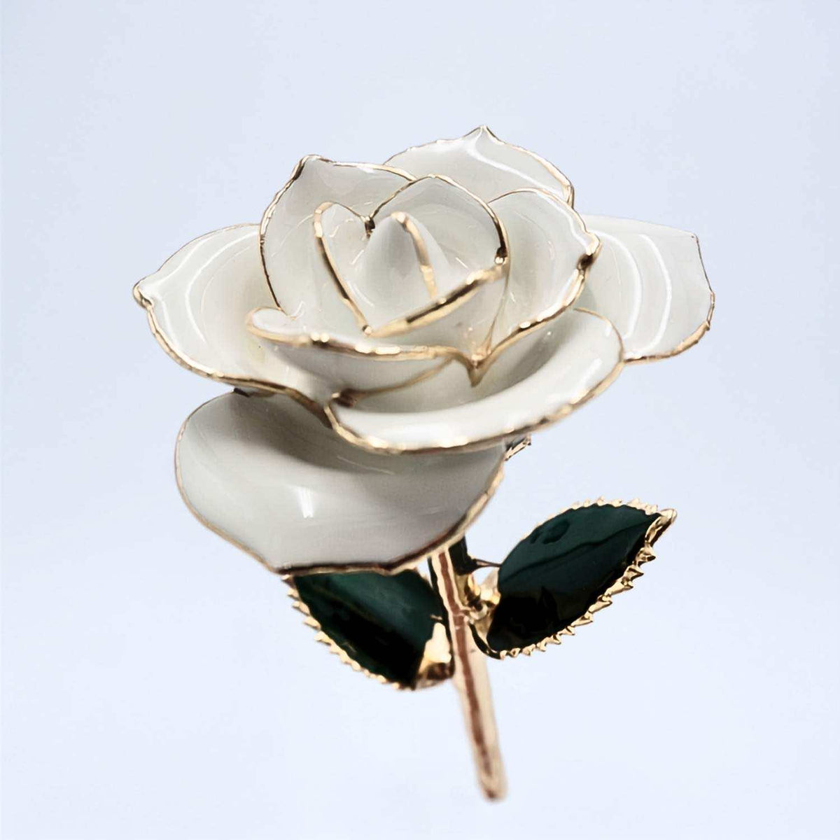 White open bloom preserved rose with 24K gold accents, angled half-length view