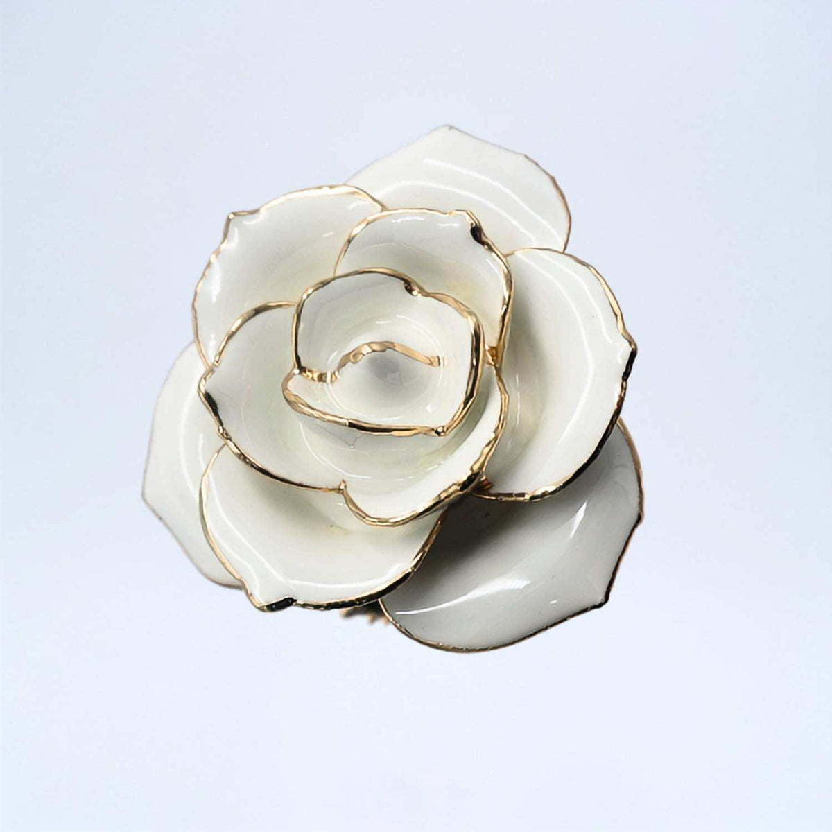 White open bloom preserved rose with 24K gold accents, close-up bloom view