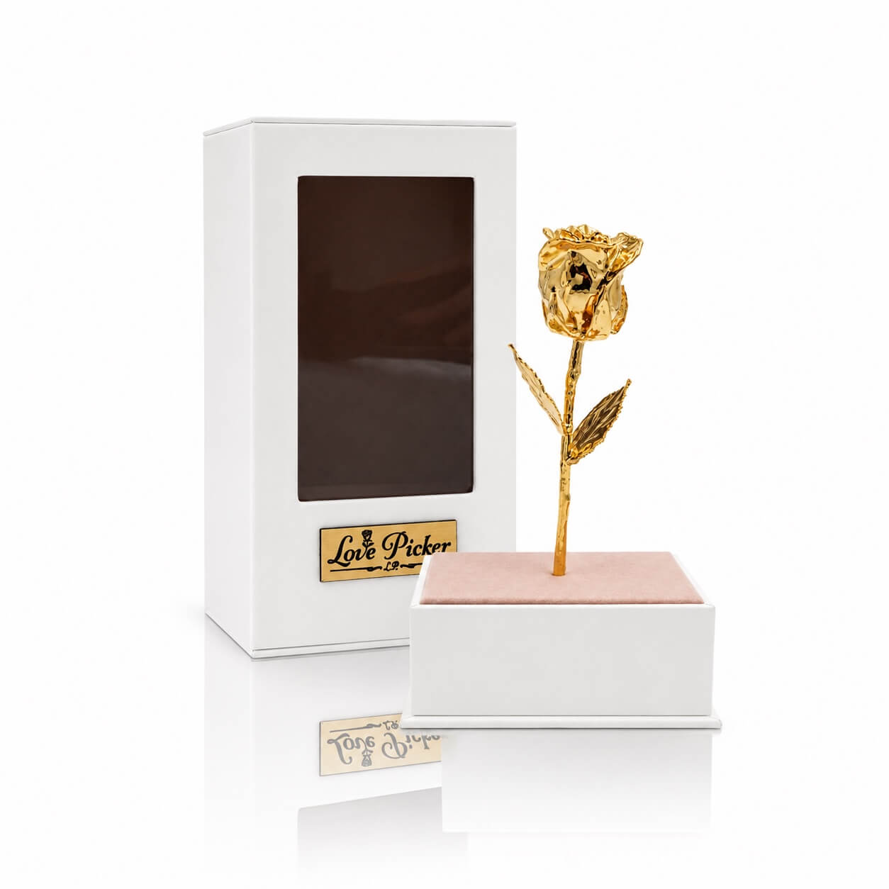 Gold rose on a white stand with a white box in the background