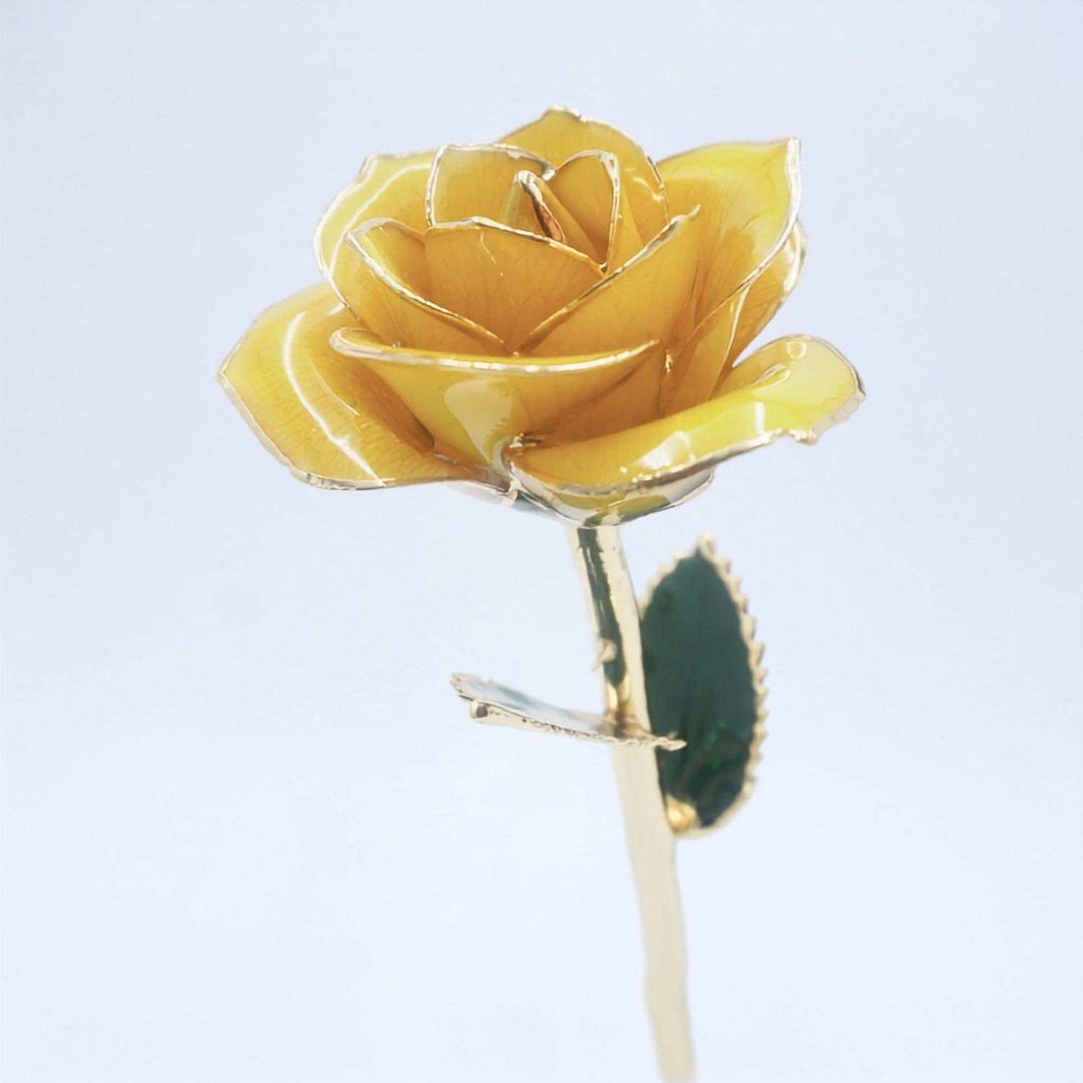 Yellow-orange open bloom preserved rose with 24K gold accents, half-length view