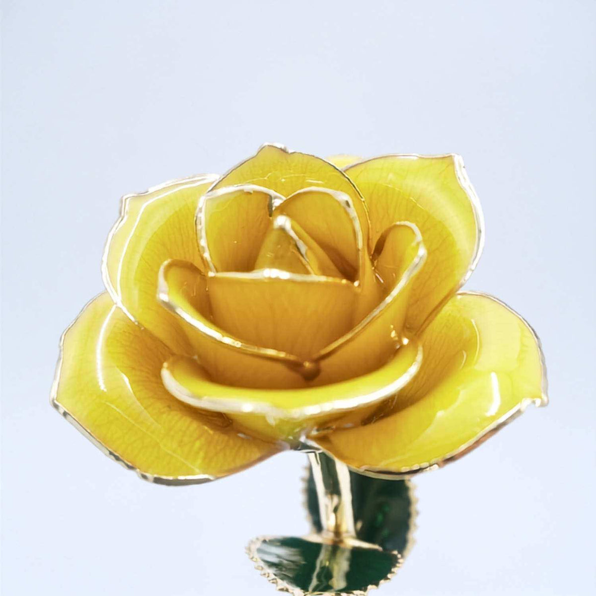 Yellow-orange open bloom preserved rose with 24K gold accents, close-up bloom view