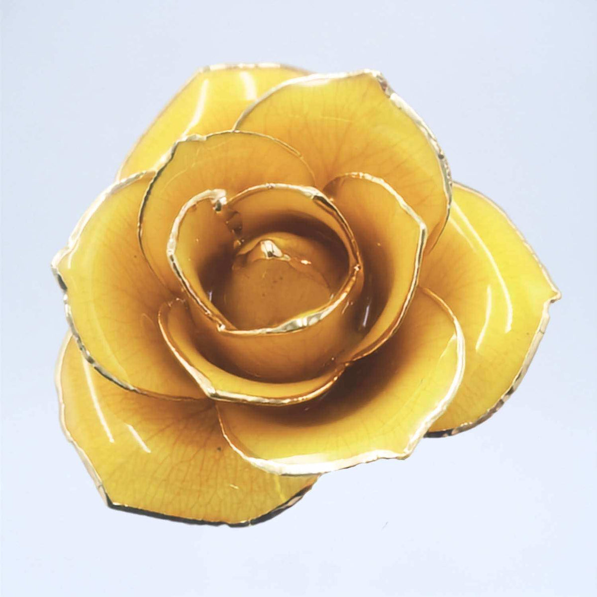 Yellow-orange open bloom preserved rose with 24K gold accents, close-up bloom view