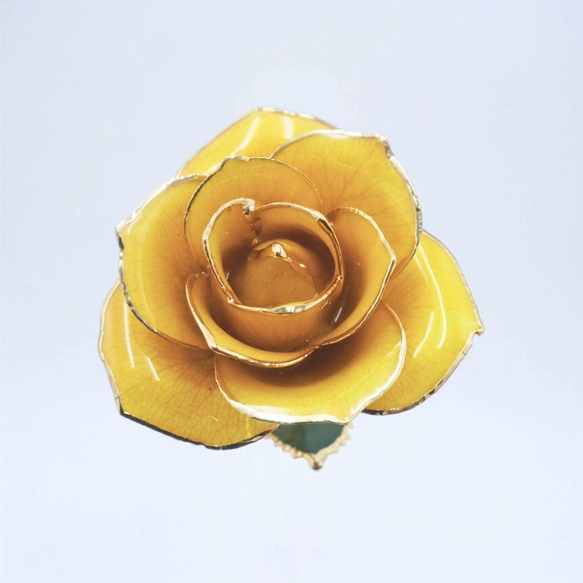 Yellow-orange open bloom preserved rose with 24K gold accents, close-up bloom view