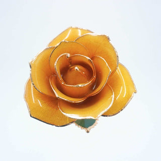 Yellow open bloom preserved rose with 24K gold accents, studio view