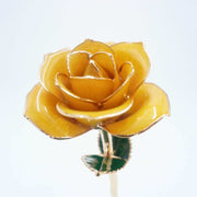 Yellow open bloom preserved rose with 24K gold accents, close side view