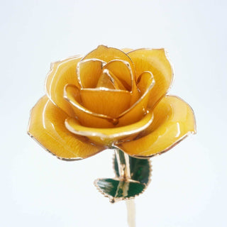 Yellow open bloom preserved rose with 24K gold accents, close side view